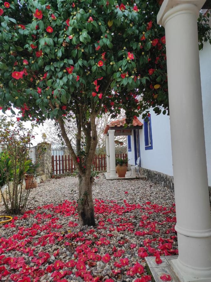 הוסטל טומאר Fazenda Do Marante מראה חיצוני תמונה