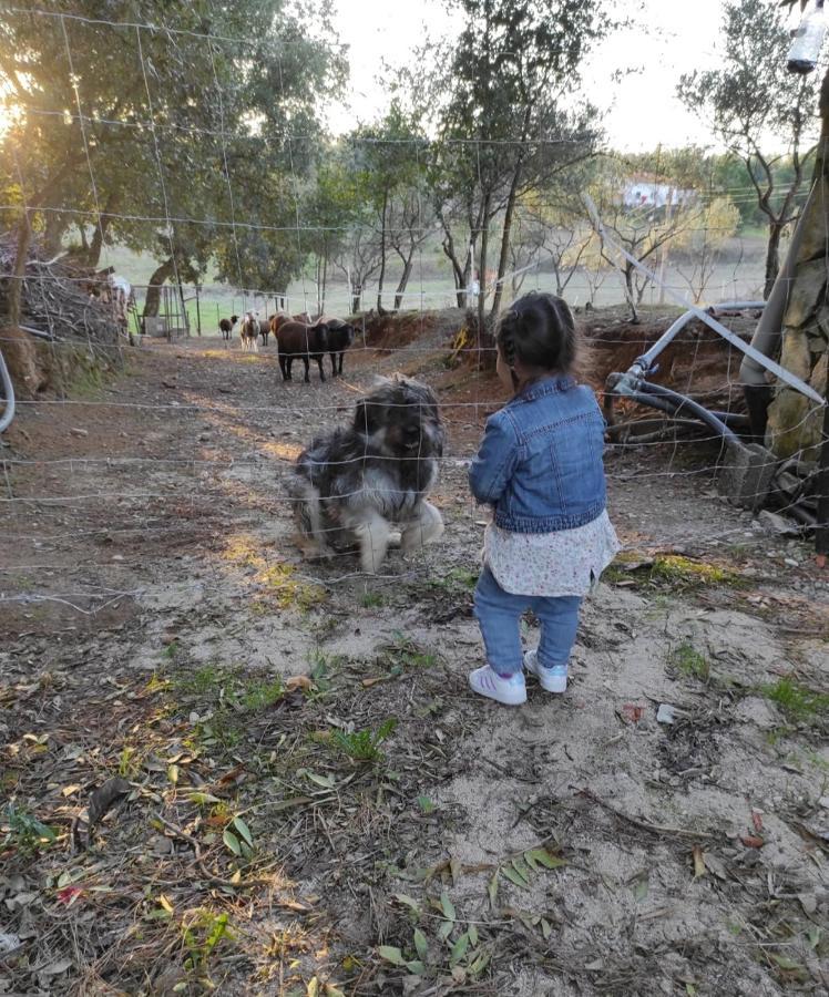 הוסטל טומאר Fazenda Do Marante מראה חיצוני תמונה